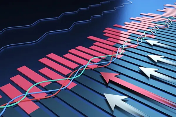 羊胯骨美食做法大全