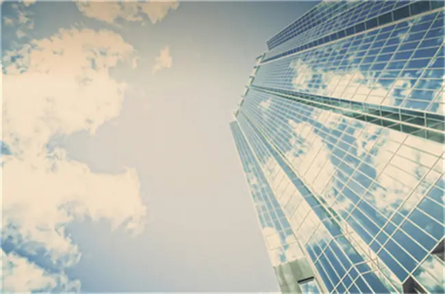 外星萝卜美食做法视频