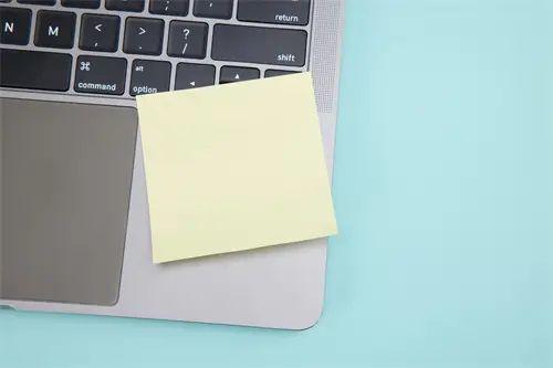 荷花做美食简单做法